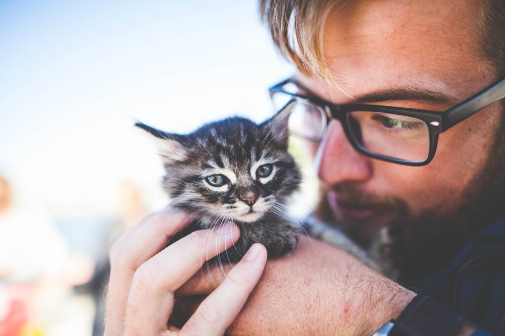 Caring For a Kitten